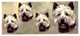 Dog Wrap - Cairn Terrier